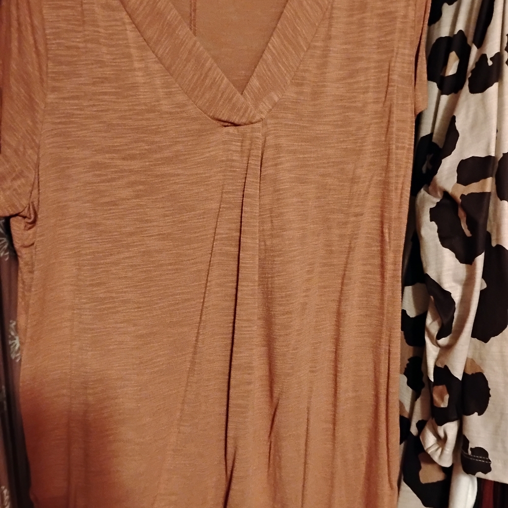 Women's Tan V-Neck Top